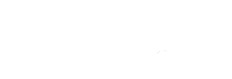 STEIN